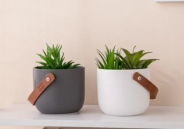 家(jiā)居花(huā)園